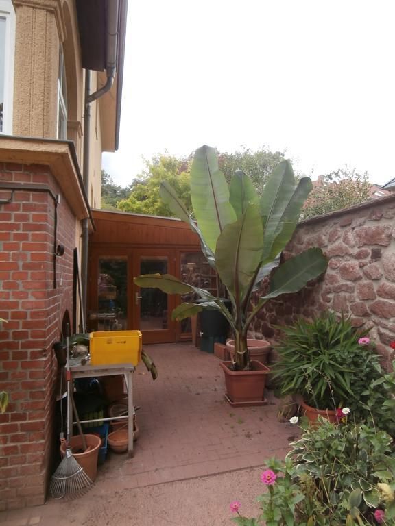 Ferienwohnung Saaleblick Halle  Екстер'єр фото